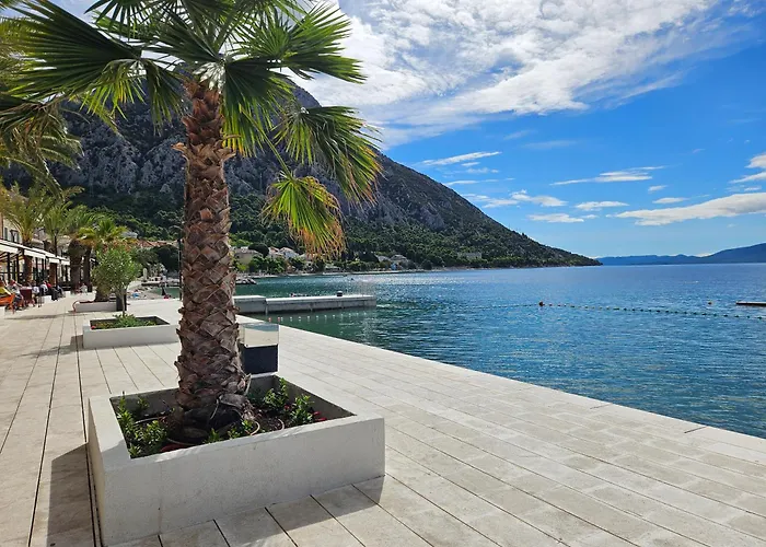 Musa * Gradac (Split-Dalmatia)