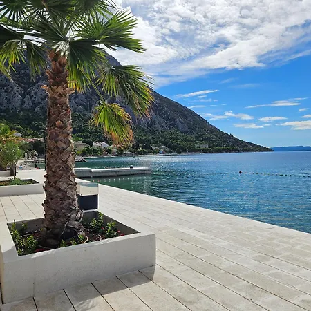 Musa * Gradac (Split-Dalmatia)